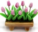 Tc0910 - Pot de fleurs avec tulipes 