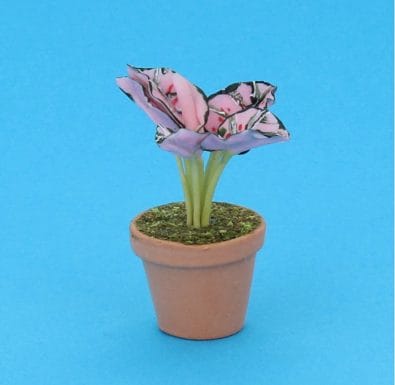 Sm8310 - Vaso con pianta