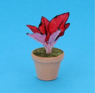 Sm8315 - Vaso con pianta
