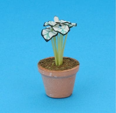 Sm8306 - Pot with plant