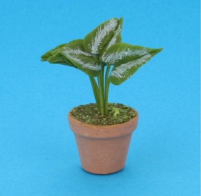 Sm8312 - Vaso con pianta