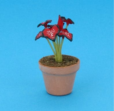 Sm8303 - Pot avec plante