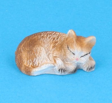 Tc1901 - Sleeping cat