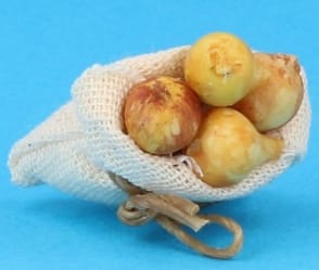 Tc1999 - Beutel mit Zwiebeln