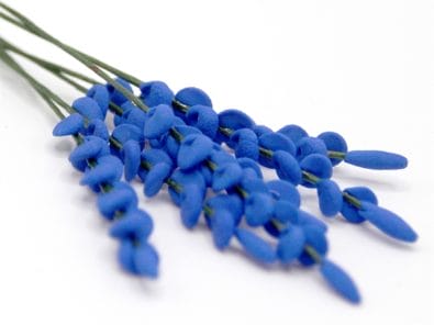 Tc0267 - Blue flowers