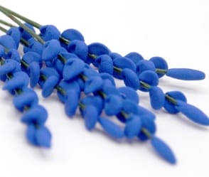 Tc0267 - Flores azules