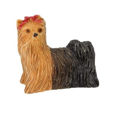 Tc0786 - Perro yorkshire terrier