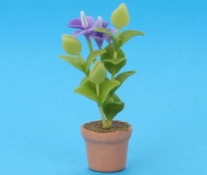 Sm8256 - Flower pot