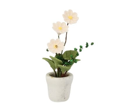 Tc2549 - White pot with flowers