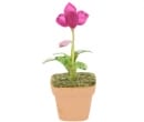Sm8411 - Pot à orchidée
