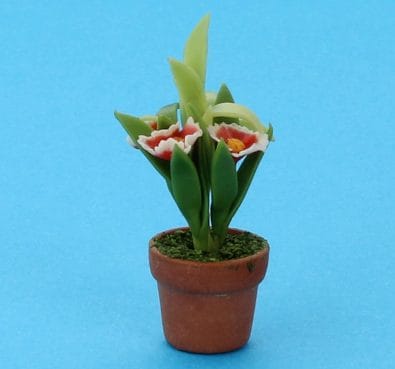 Sm8120 - Maceta con flores