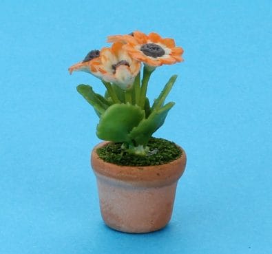 Sm8180 - Maceta con flores