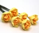 Tc0012 - Six fleurs jaunes