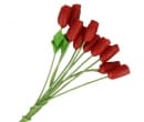 Tc0215 - Fleurs rouges