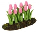  Plante avec des tulipes
