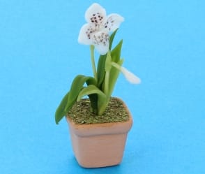 Sm8410 - Maceta con orquídea