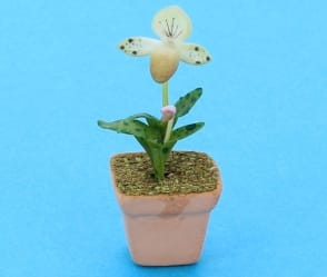 Sm8402 - Maceta con orquídea