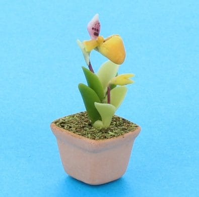 Sm8403 - Pot with orchid