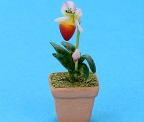 Sm8406 - Maceta con orquídea