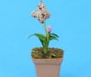 Sm8191 - Maceta con orquídea
