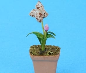 Sm8404 - Maceta con orquídea