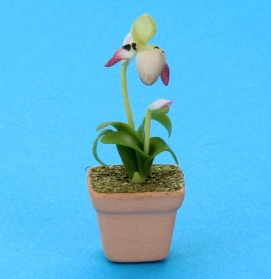 Sm8192 - Maceta con orquídea