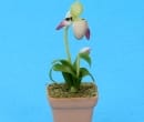 Sm8192 - Maceta con orquídea