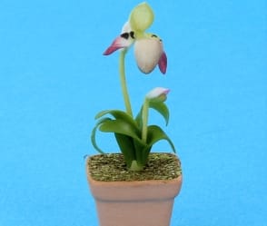 Sm8401 - Maceta con orquídea