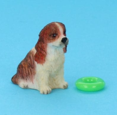 Sb0018 - Hund mit Spielzeug