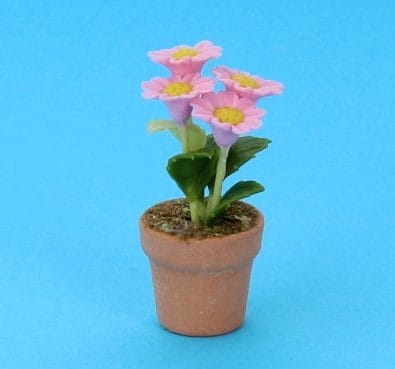Sm8196 - Vaso con fiori
