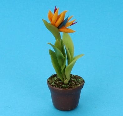 Sm8220 - Vaso con fiori