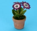 Sb0005 - Flowerpot