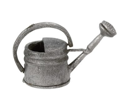 Tc0972 - Silver watering can