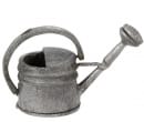 Tc0972 - Silver watering can
