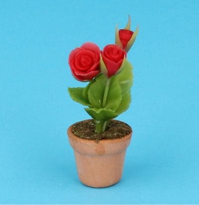 Sm8199 - Flowerpot