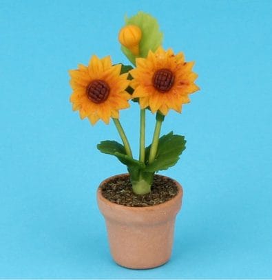 Sm8205 - Sunflower