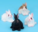  Set de cuatro conejos
