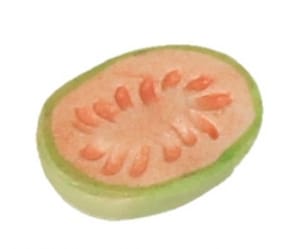 Tc1442 - Medio melón