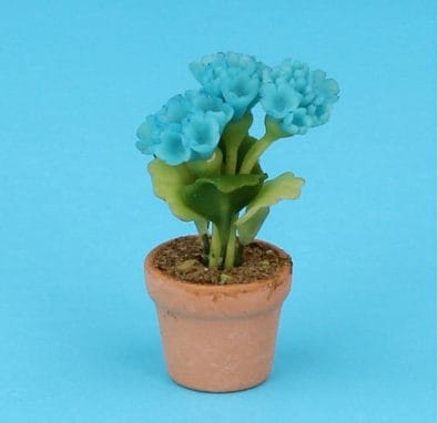 Sm8152 - Flower pot with blue carnations