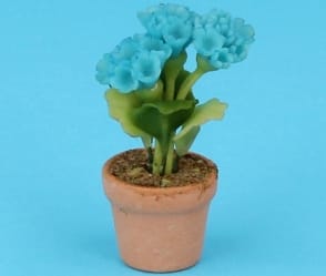 Sm8152 - Flower pot with blue carnations