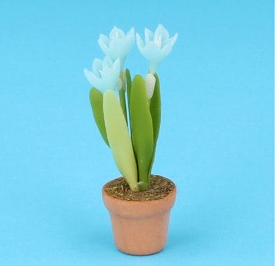 Sm8168 - Flower pot with blue carnations