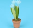 Sm8168 - Flower pot with blue carnations