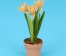 Sm8170 - Flower pot with orange flowers