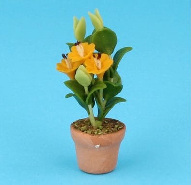 Sm8186 - Flower pot with orange flowers