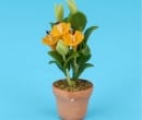 Sm8186 - Flower pot with orange flowers