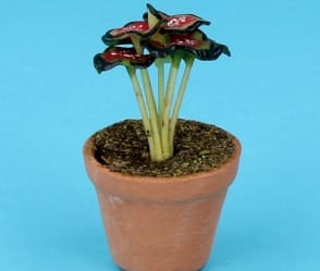 Sm8302 - Pot with plant