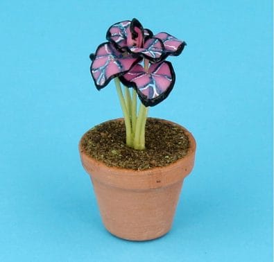 Sm8307 - Pot avec plante