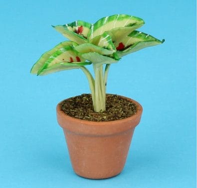 Sm8311 - Pot with plant