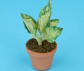 Sm8318 - Pot with plant