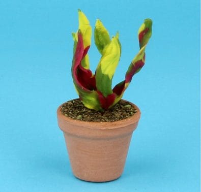 Sm8325 - Pot avec plante